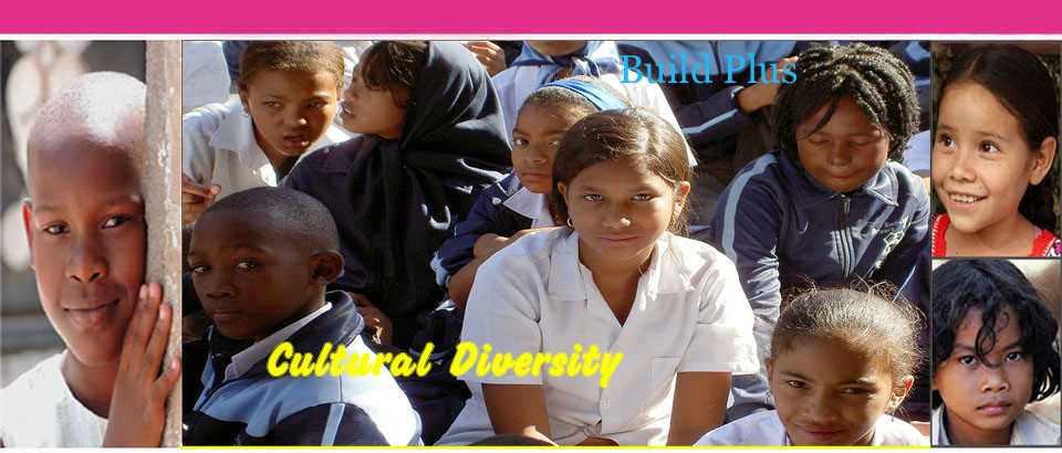 Build Plus Marketplace Home Page Banner